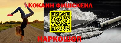 гашик Моздок