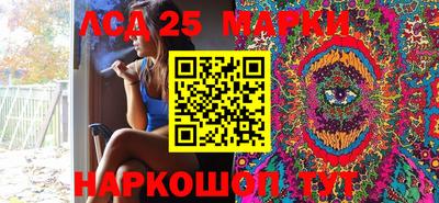 гашик Моздок