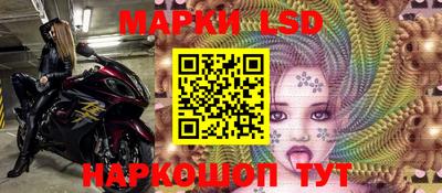 гашик Моздок
