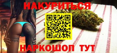 гашик Моздок