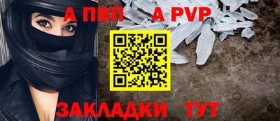 гашик Моздок