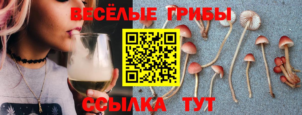 Галлюциногенные грибы прущие грибы Чистополь
