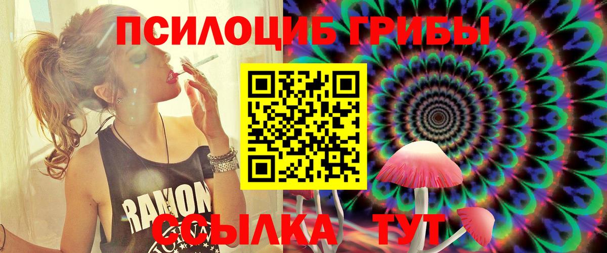 Чистополь  Псилоцибиновые грибы GOLDEN TEACHER  Псилоцибиновые грибы GOLDEN TEACHER  Вход с VPN 